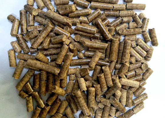 橡膠木
