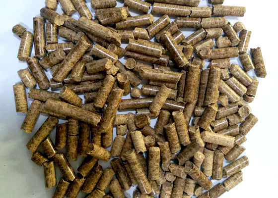 橡膠木